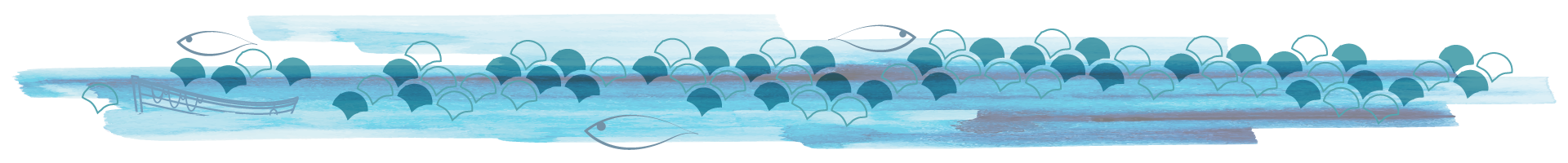banner-zef-finale